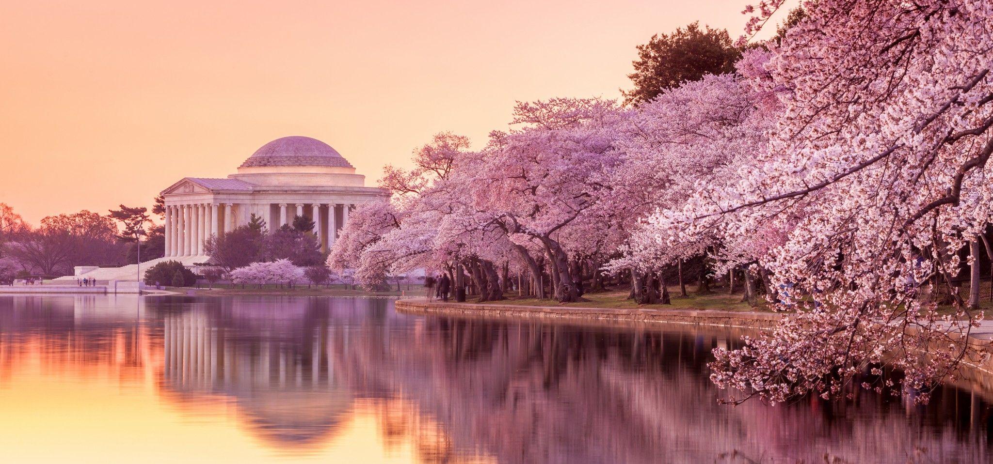 Washington Monument Wallpapers