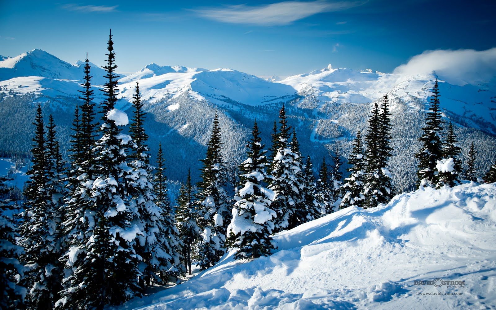 Whistler Wallpapers