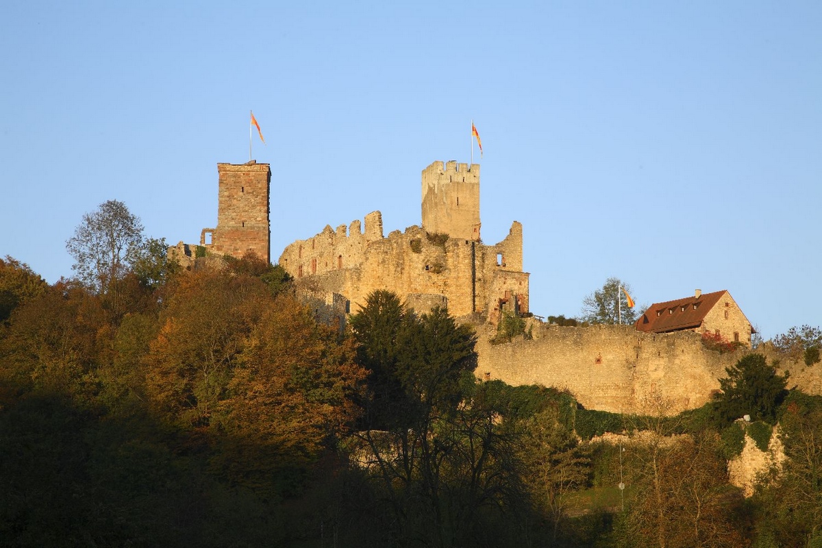 Wildegg Castle Wallpapers