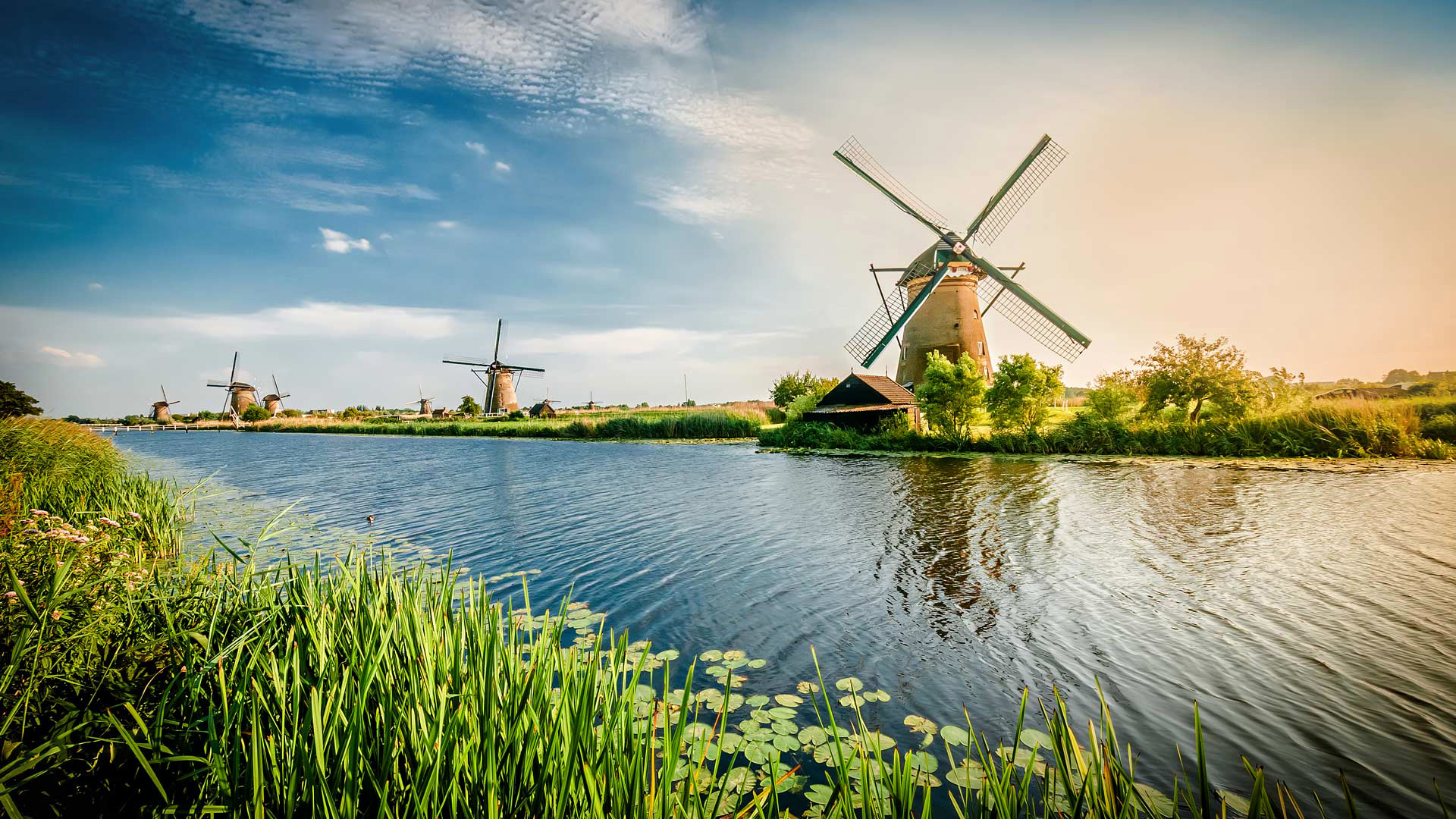 Windmill Fogy Netherlands Wallpapers