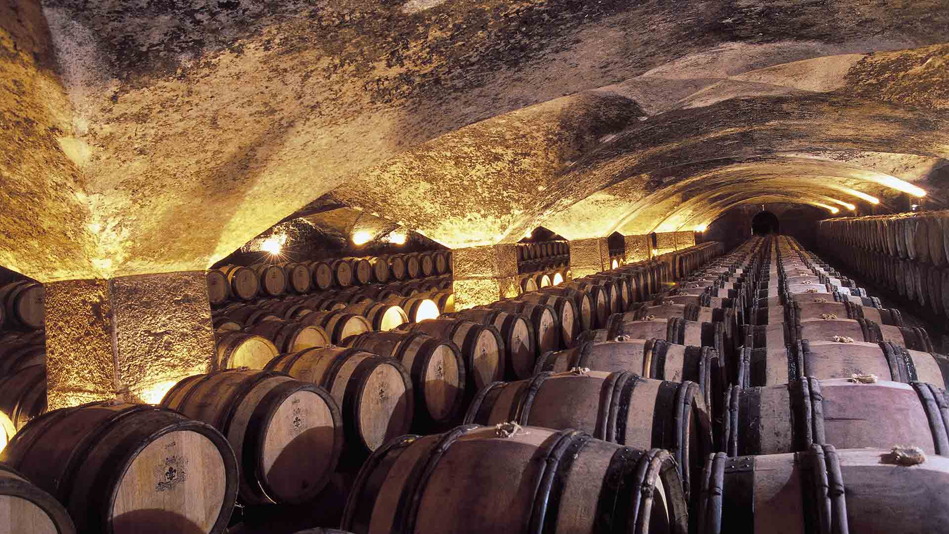 Wine Cellar Wallpapers