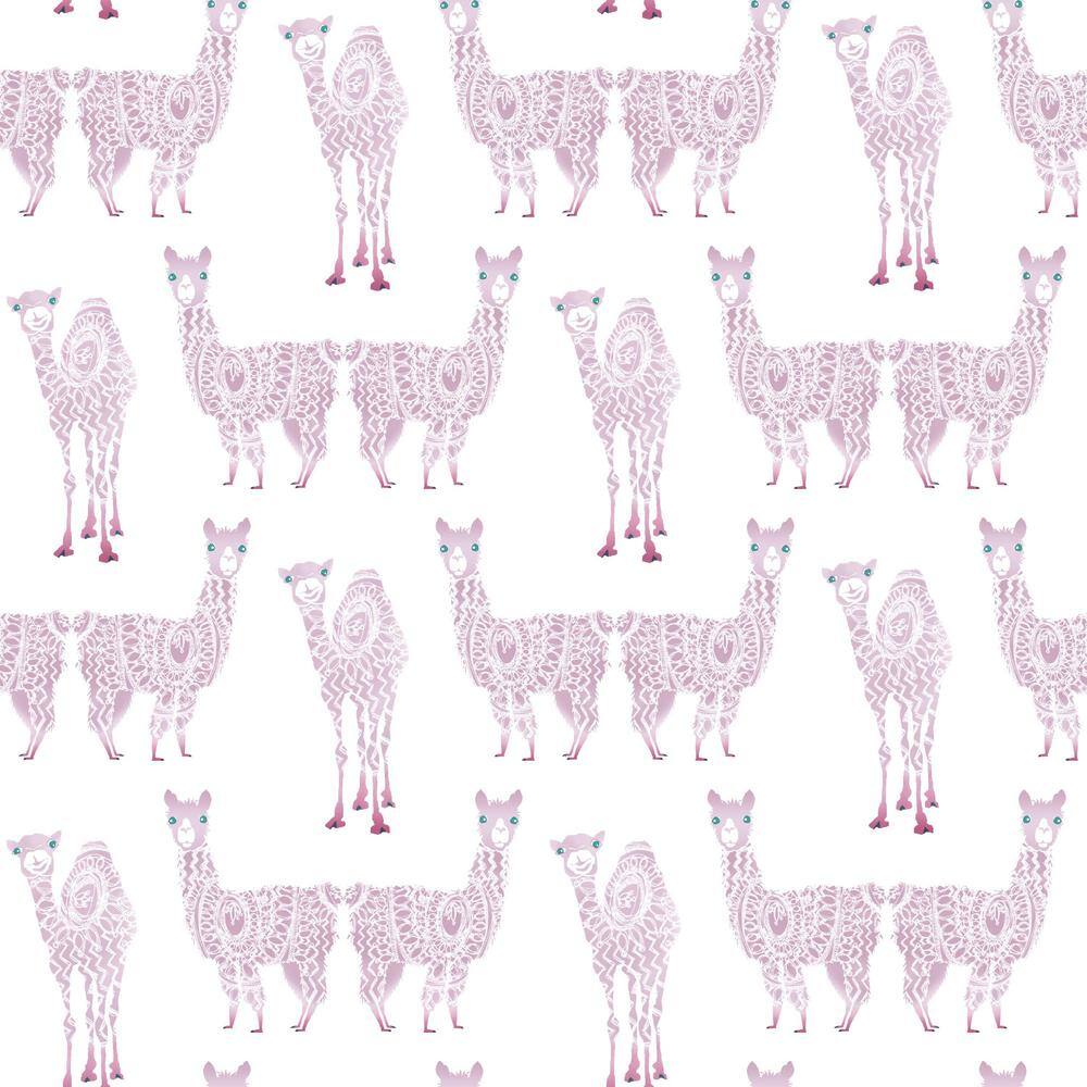 Alpaca Wallpapers