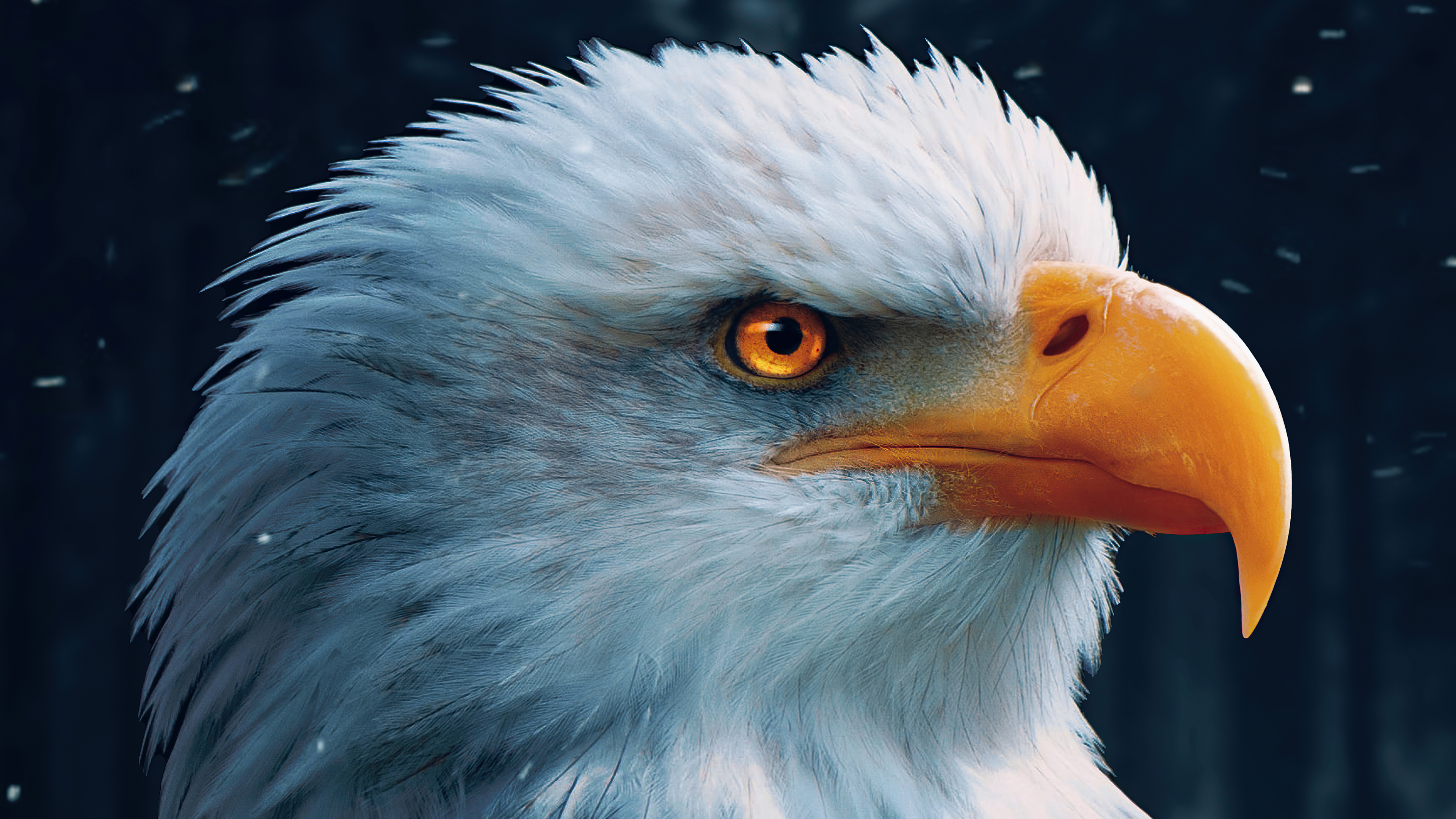 Bald Eagle Wallpapers