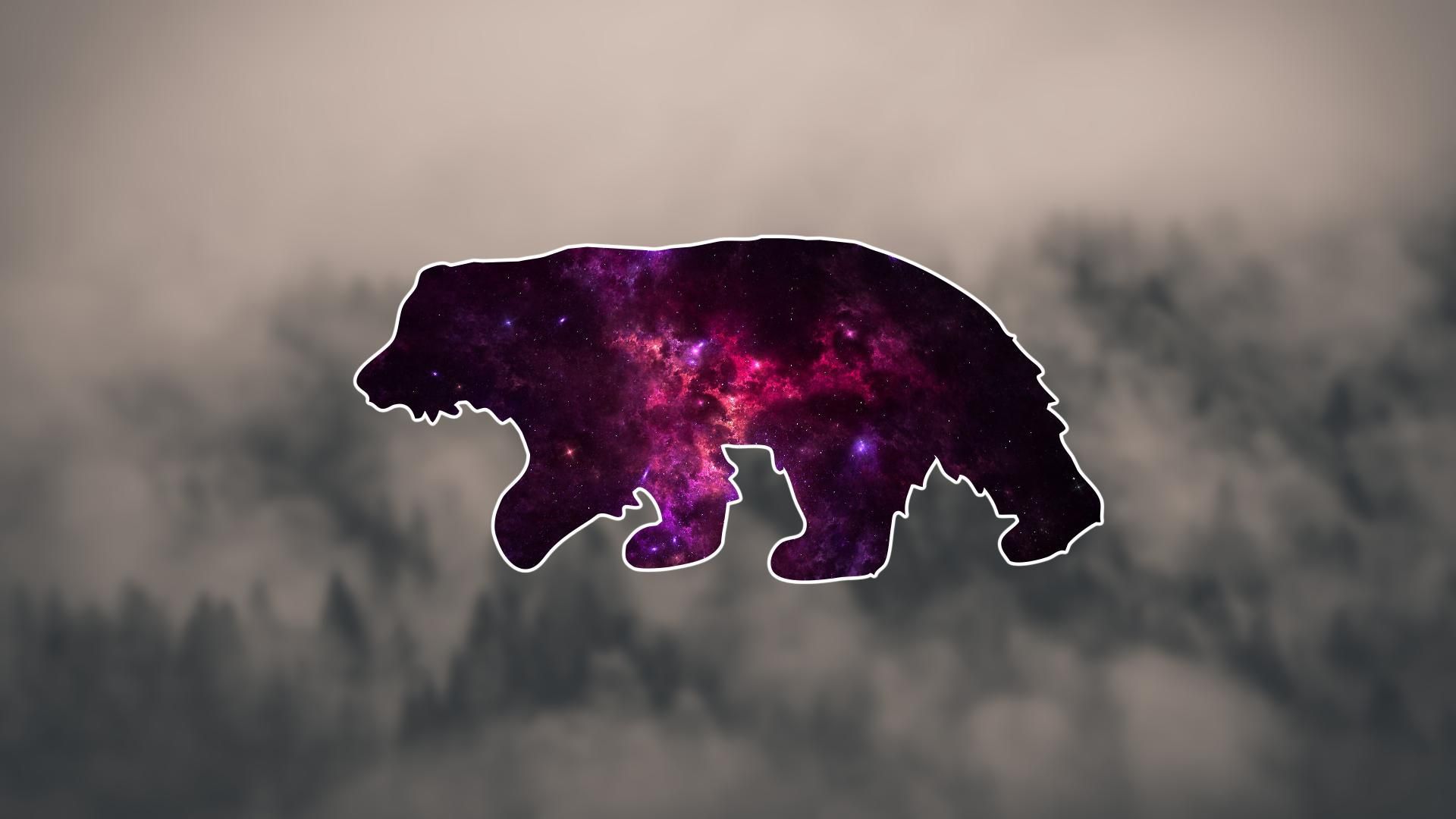 Bear Wallpapers