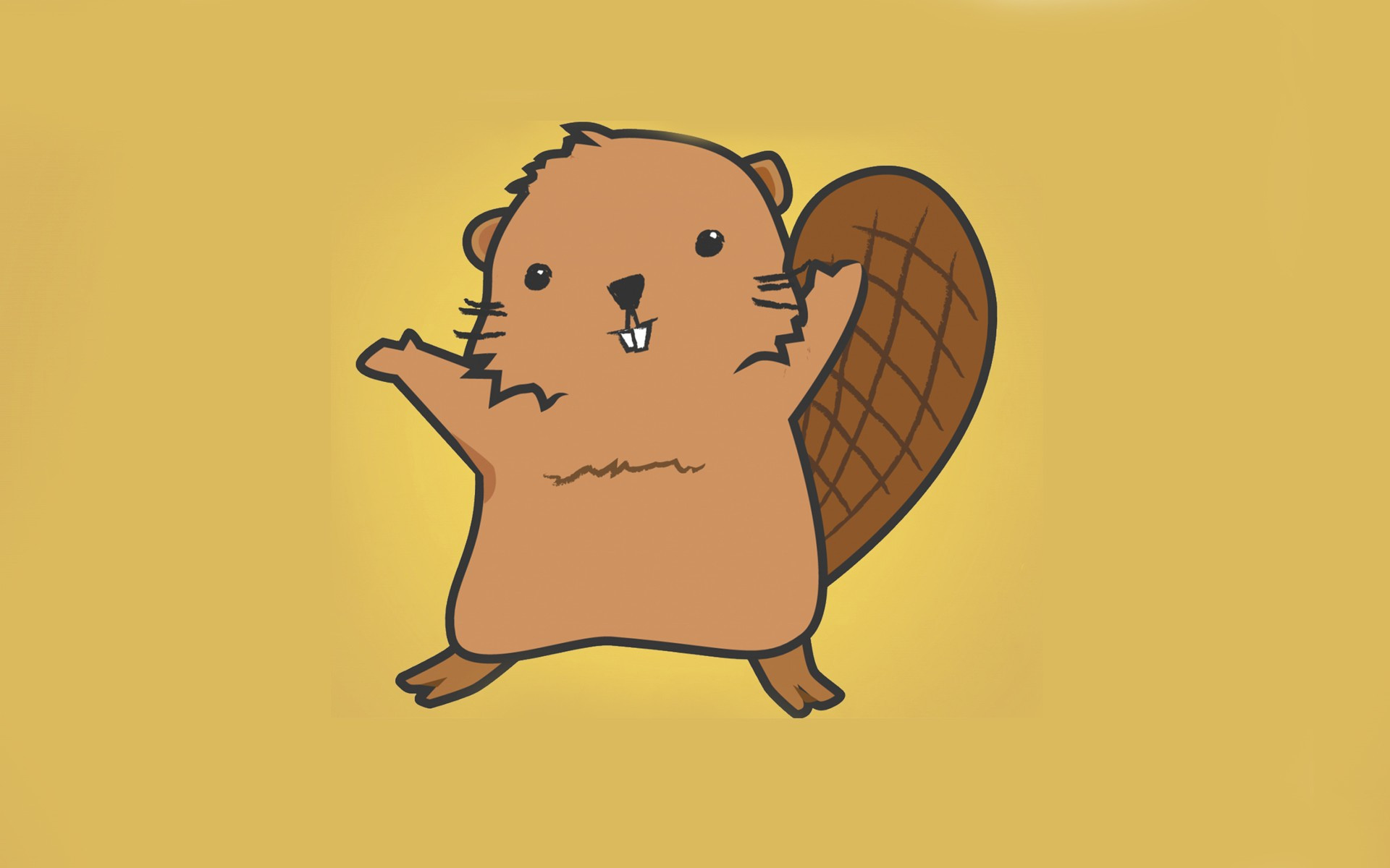 Beaver Wallpapers