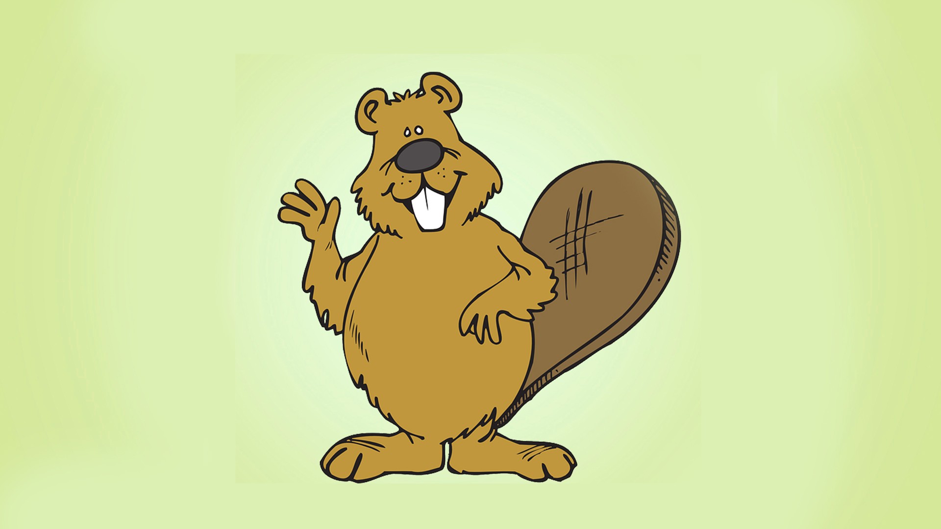 Beaver Wallpapers