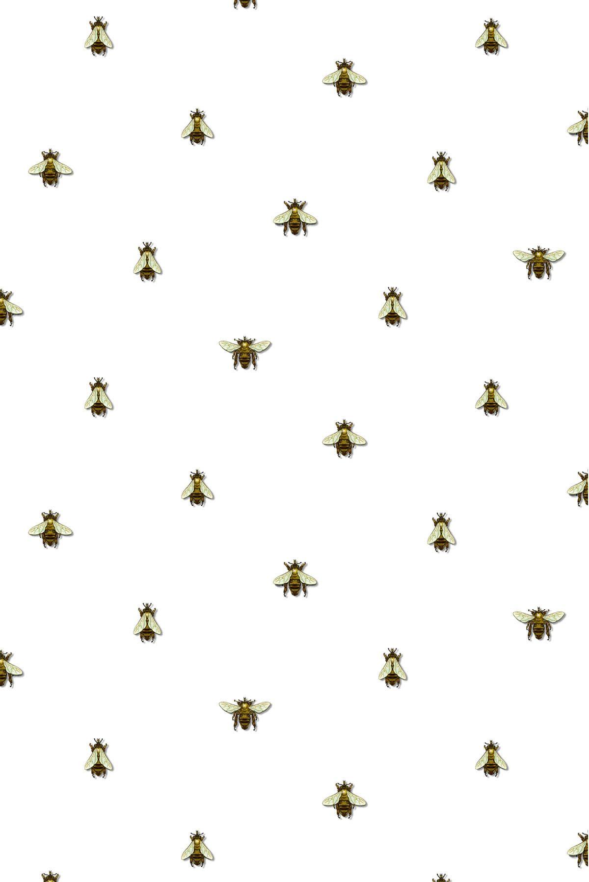 Bee Wallpapers