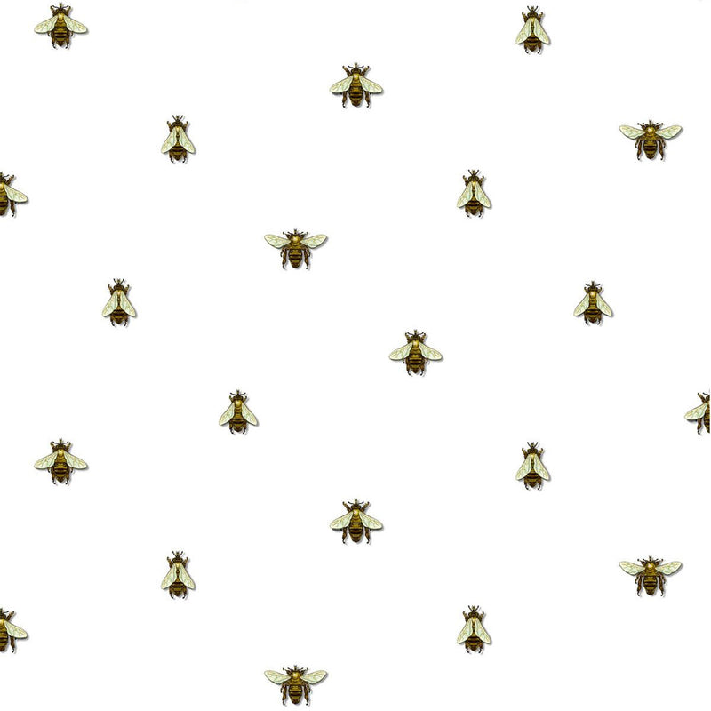 Bee Wallpapers