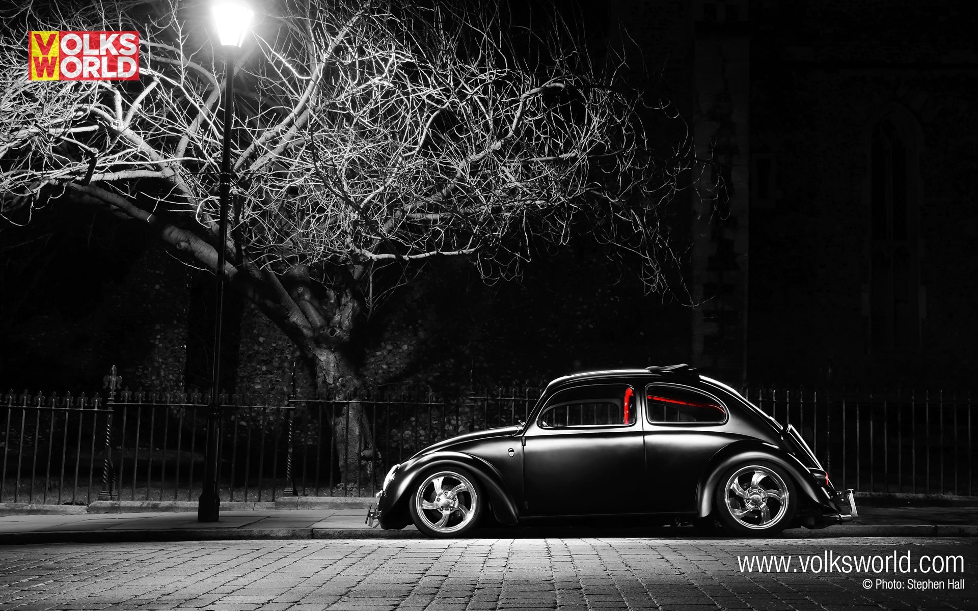 Beetle Wallpapers