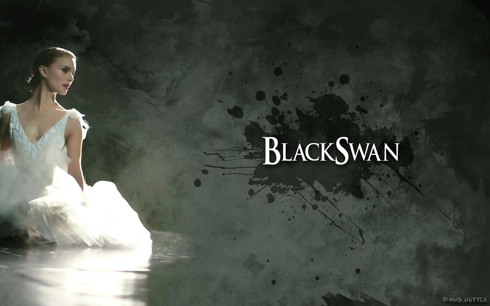 Black Swan Wallpapers