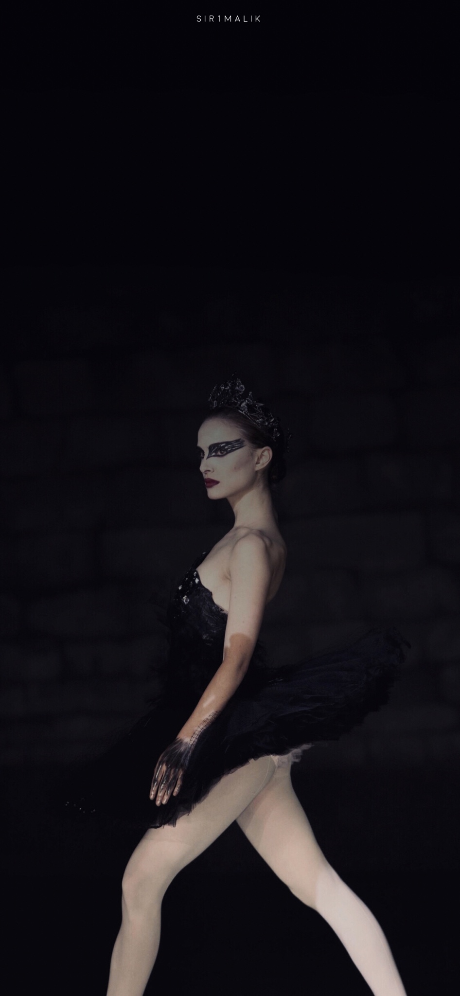 Black Swan Wallpapers