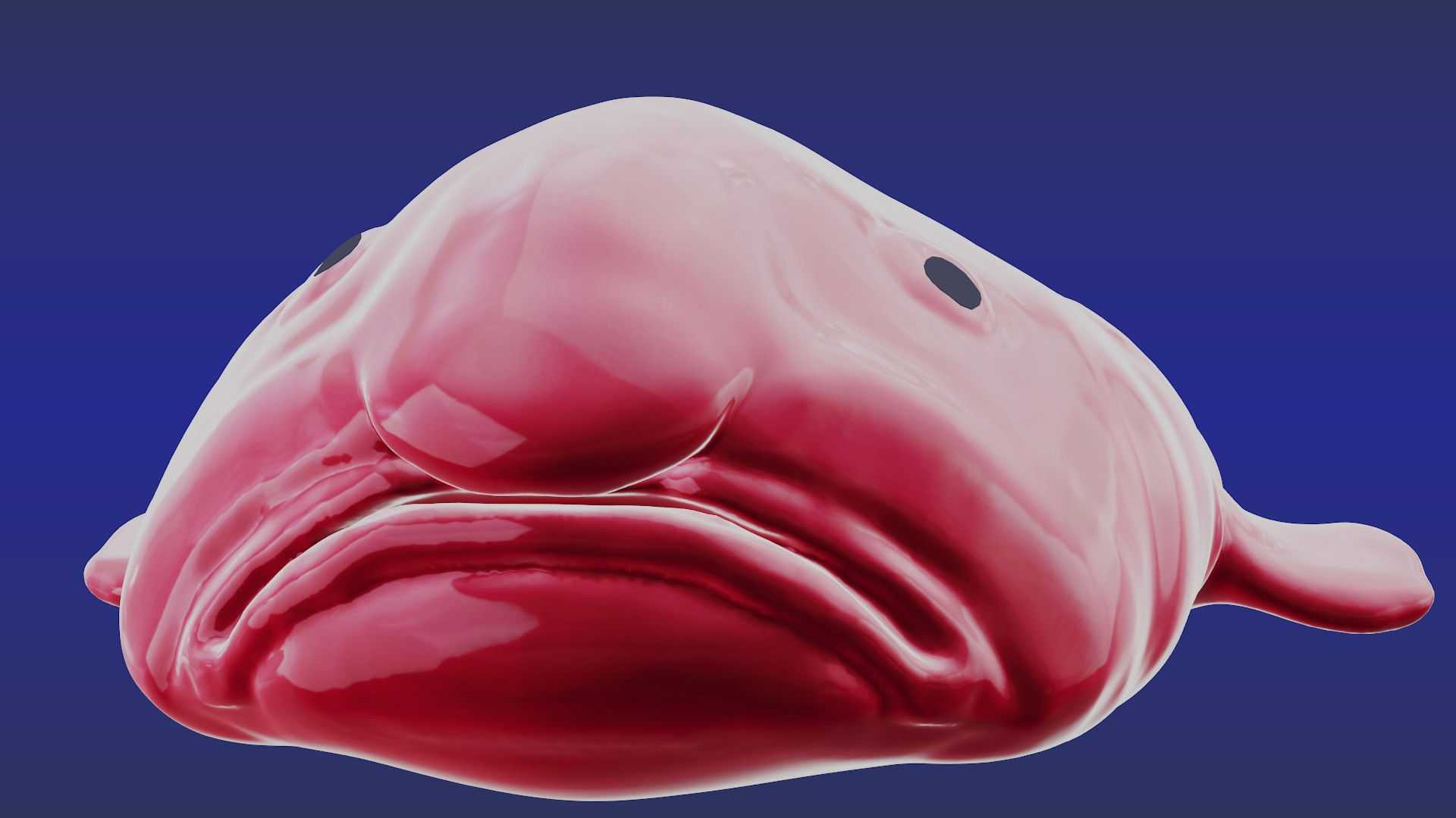 Blob Fish Wallpapers