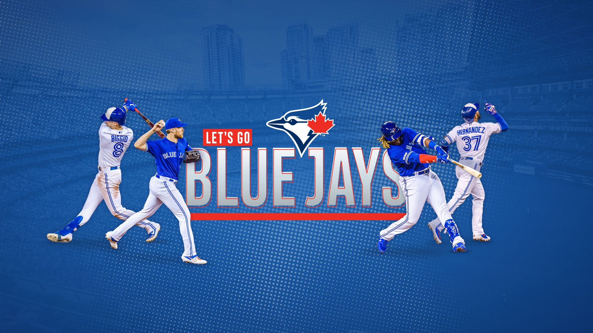 Blue Jay Wallpapers