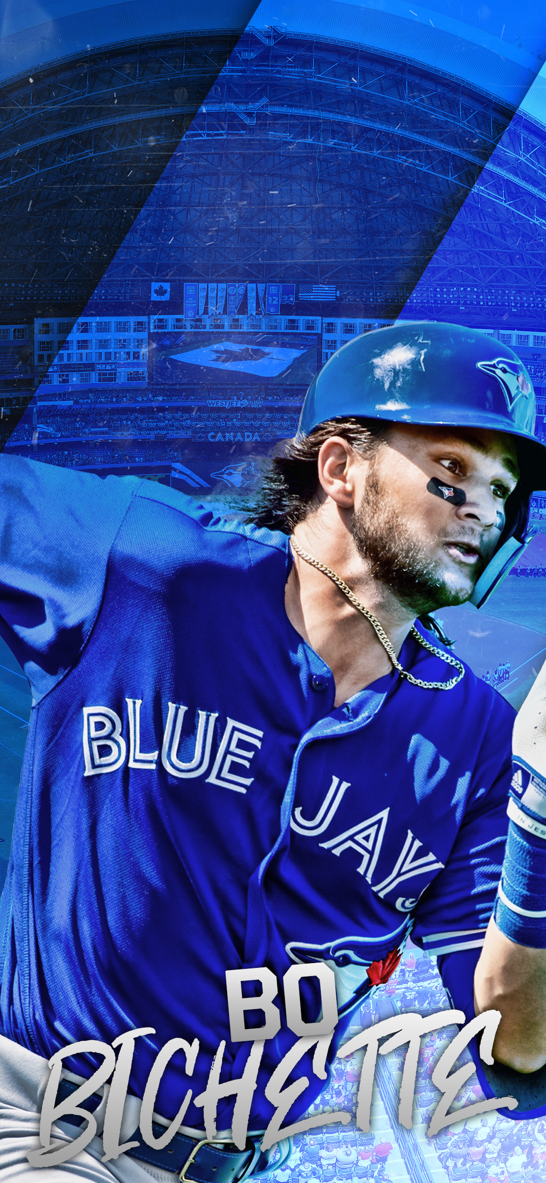 Blue Jay Wallpapers