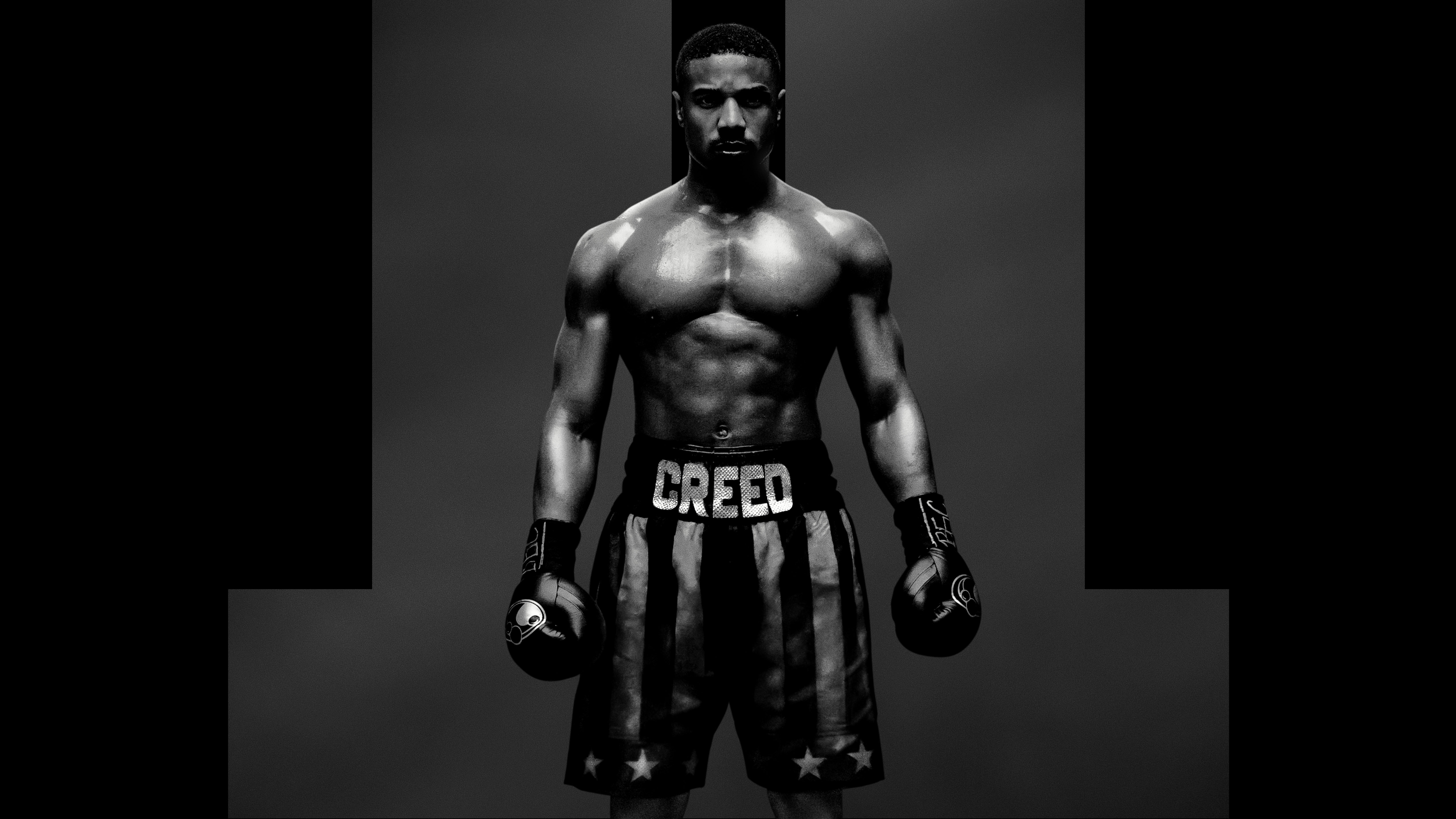 Boxer Wallpapers