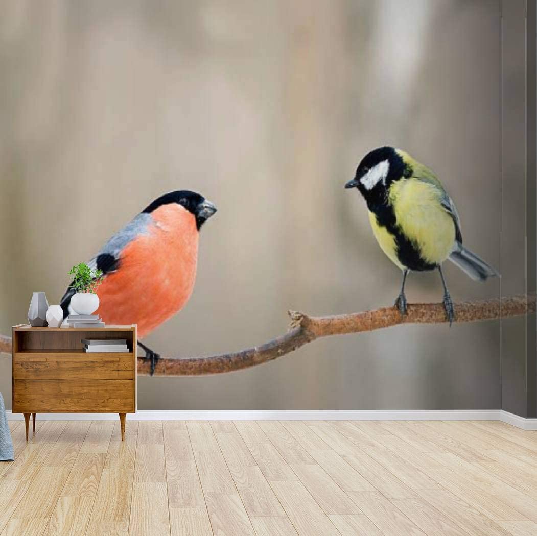 Bullfinch Wallpapers