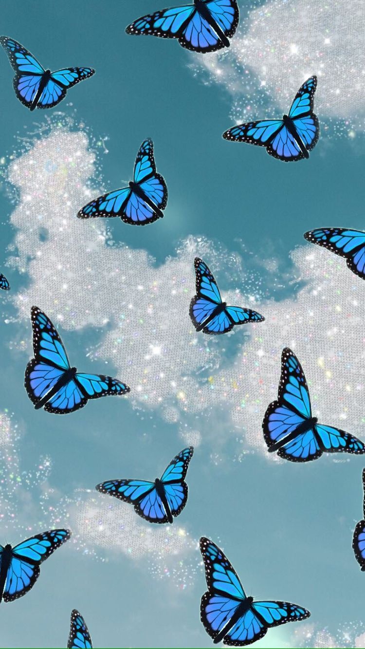 Butterfly Wallpapers