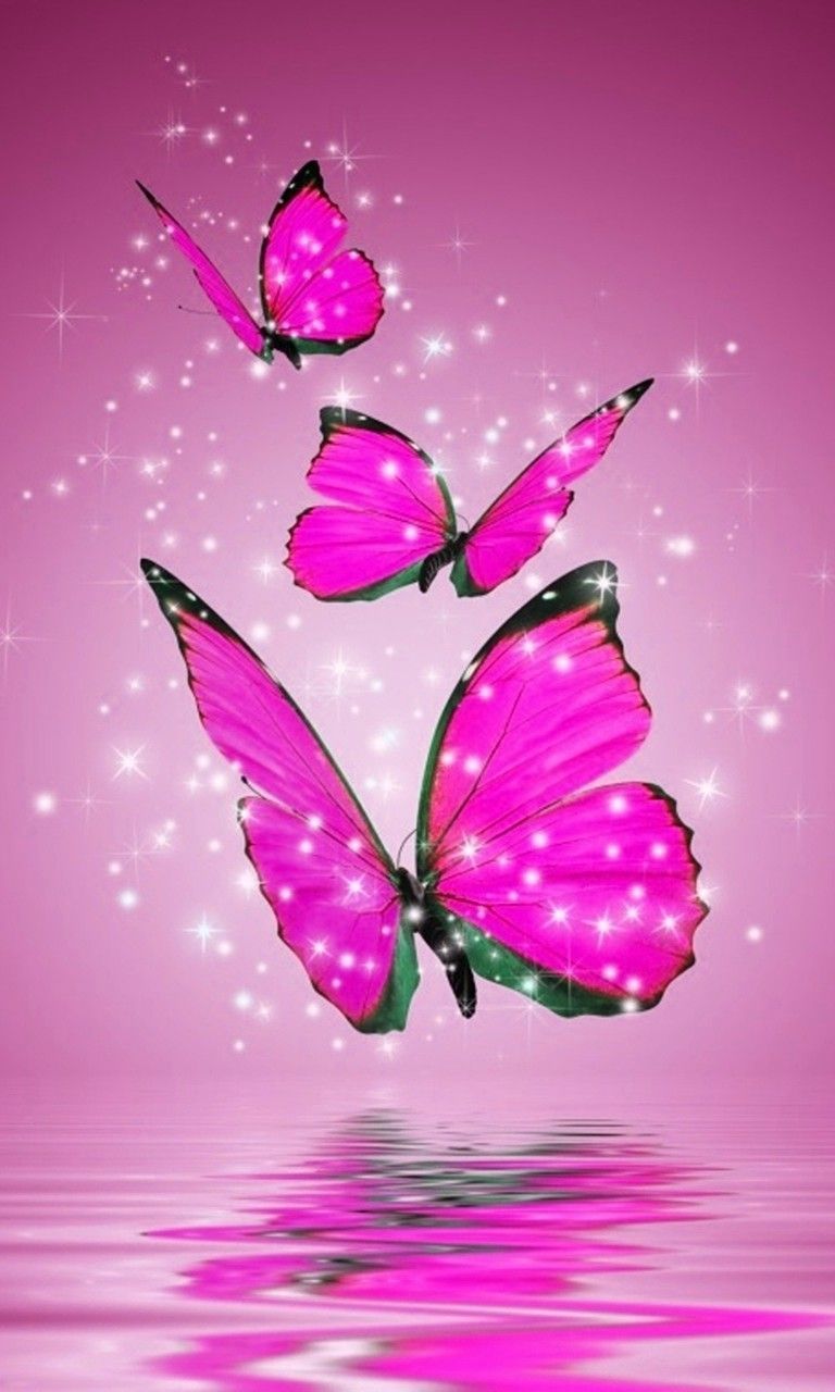 Butterfly Wallpapers