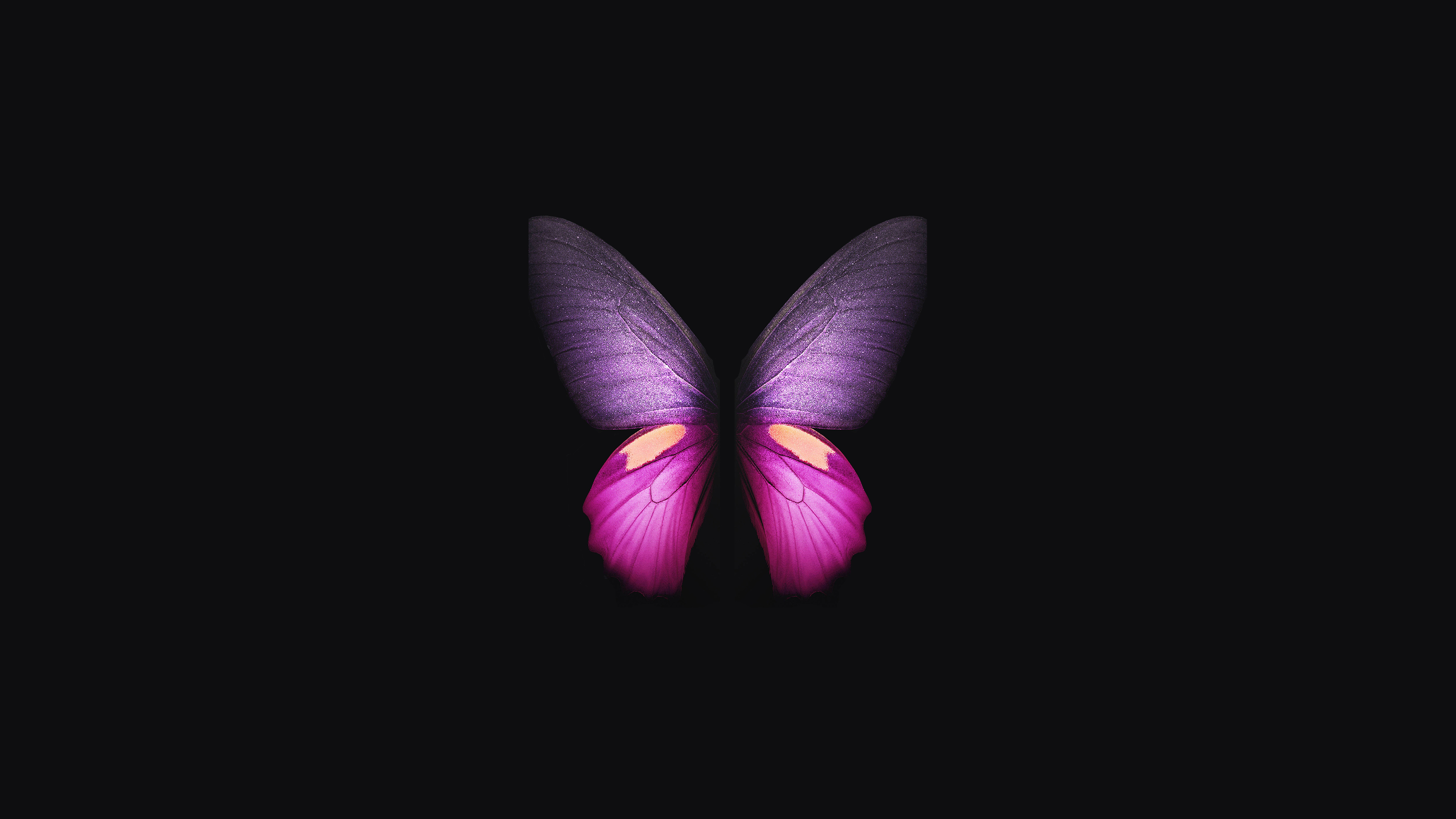 Butterfly Wallpapers