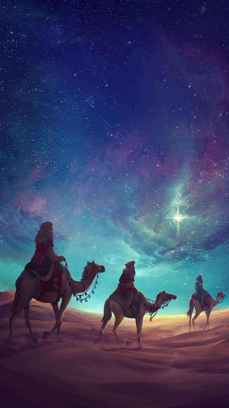 Camel Wallpapers