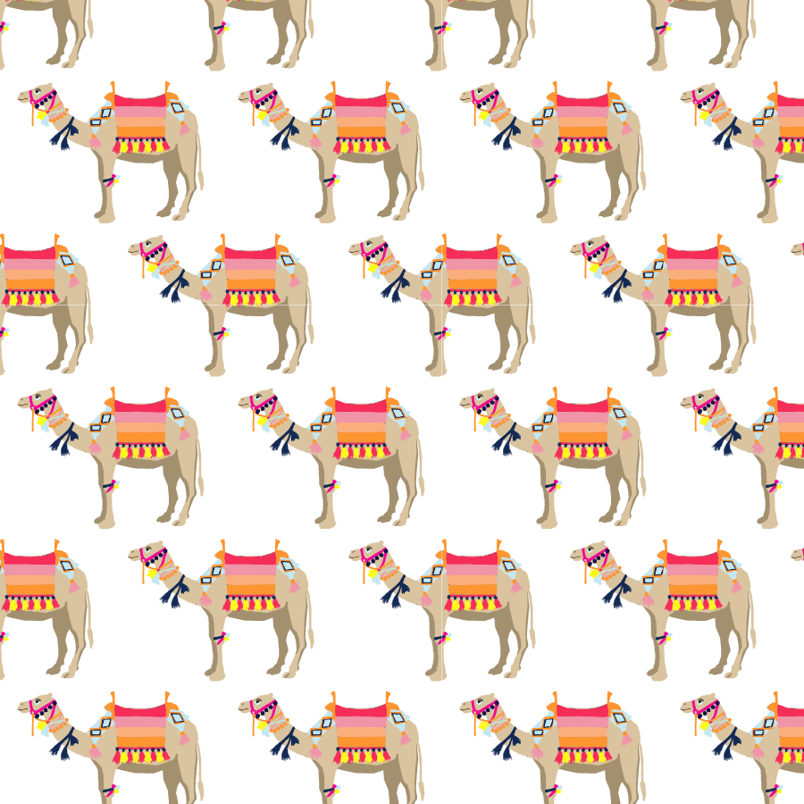 Camels Wallpapers