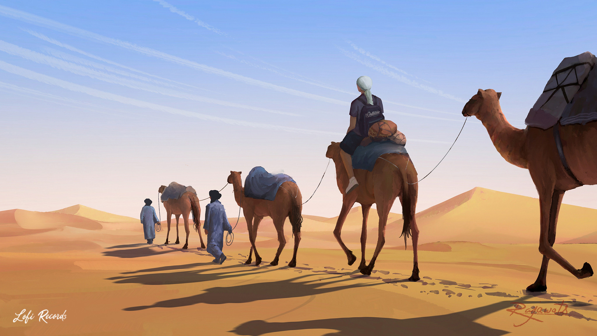 Camels Wallpapers