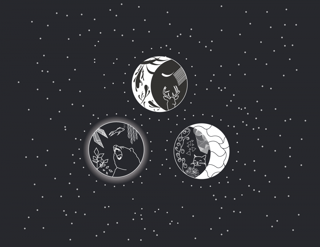 Cat And Moon Wallpapers