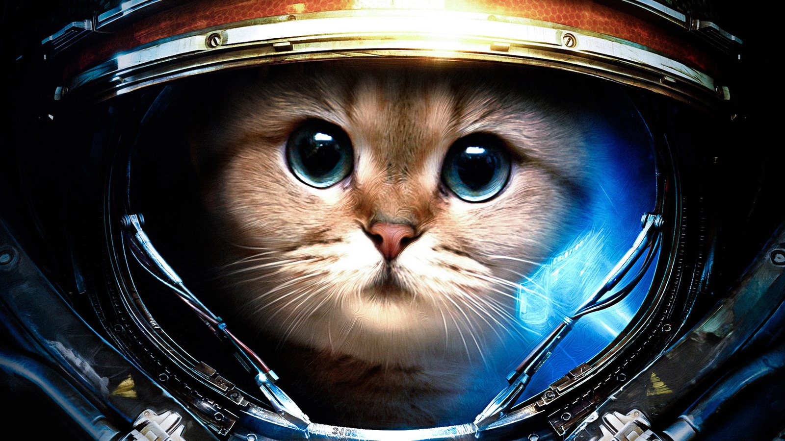 Cat Astronaut Wallpapers