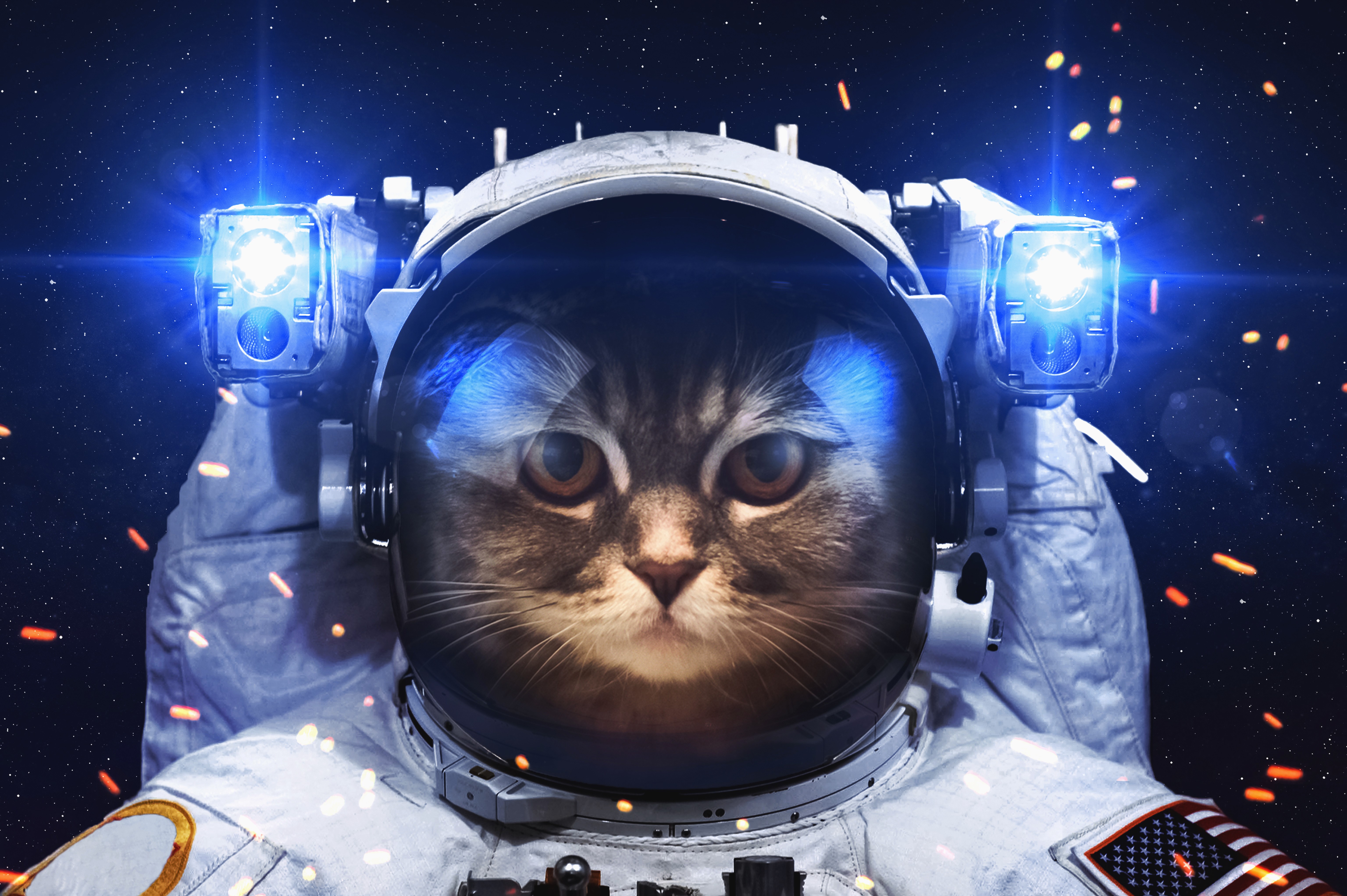 Cat Astronaut Wallpapers