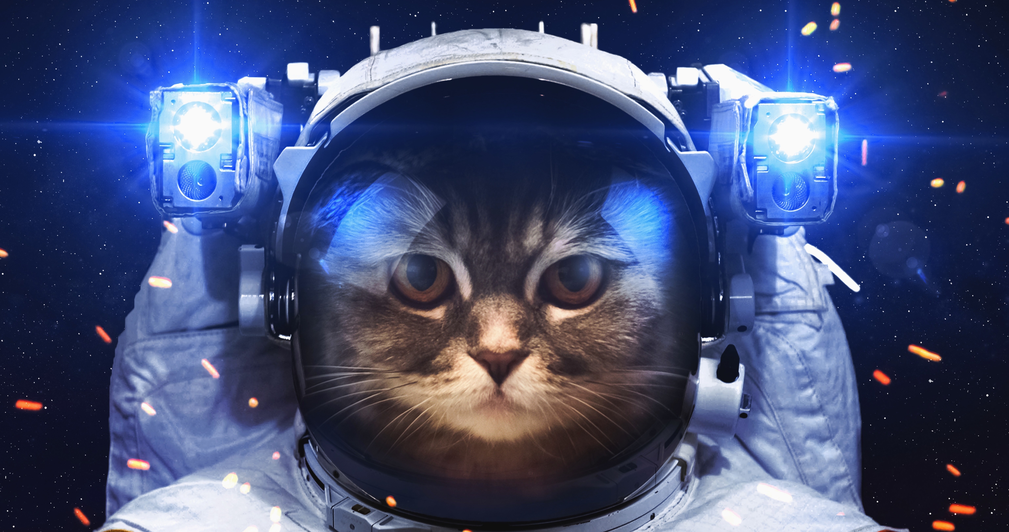 Cat Astronaut Wallpapers