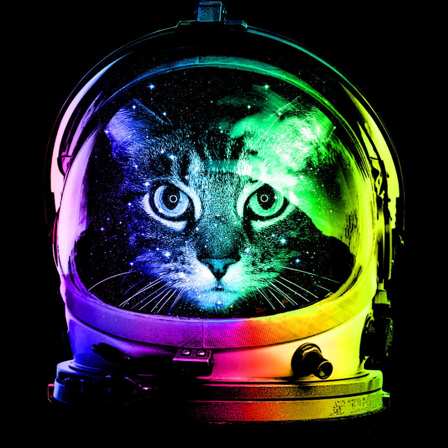 Cat Astronaut Wallpapers
