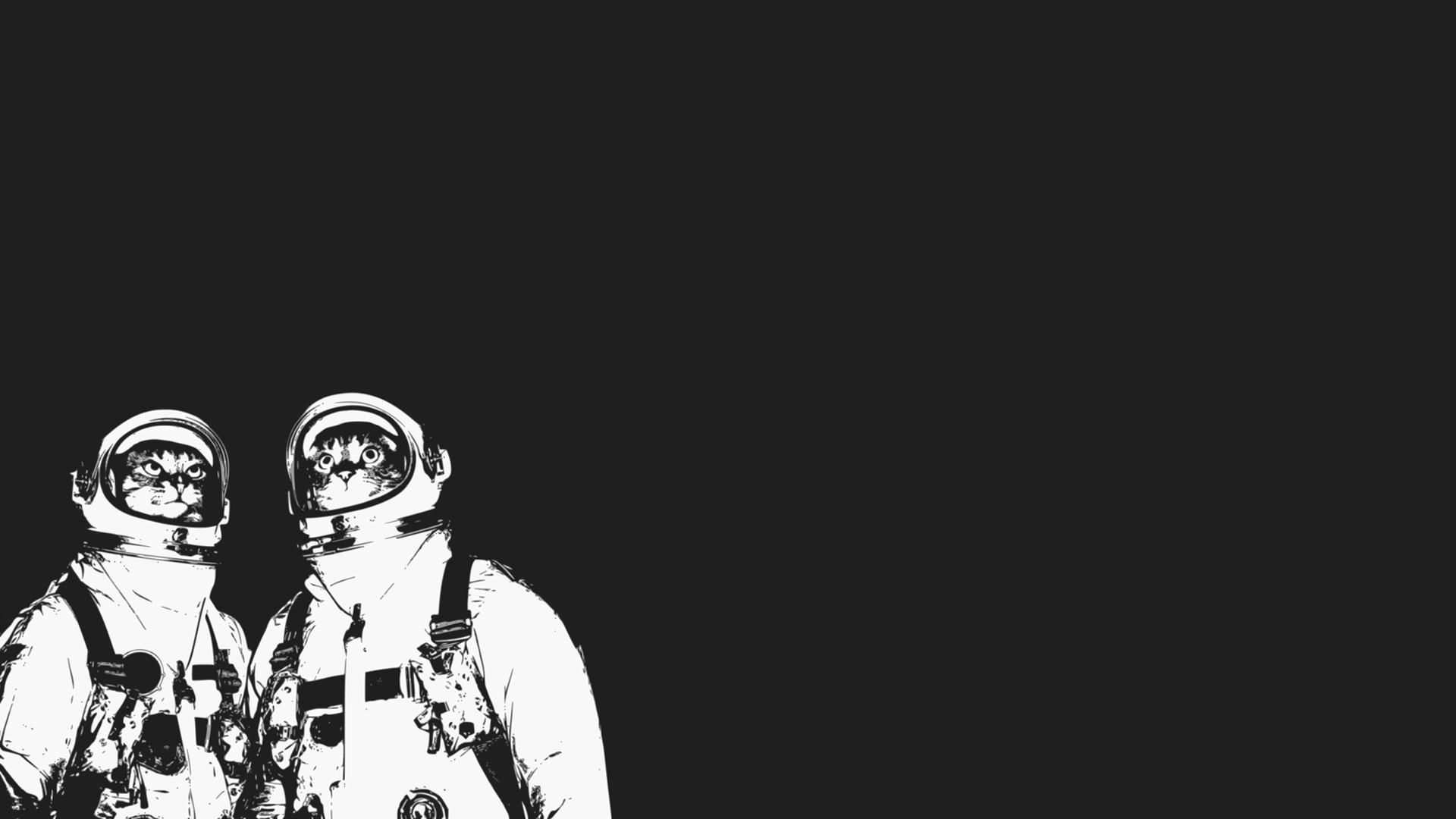 Cat Astronaut Wallpapers