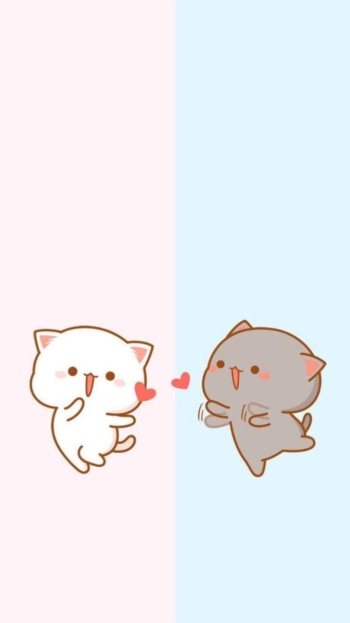 Cat Couples Wallpapers