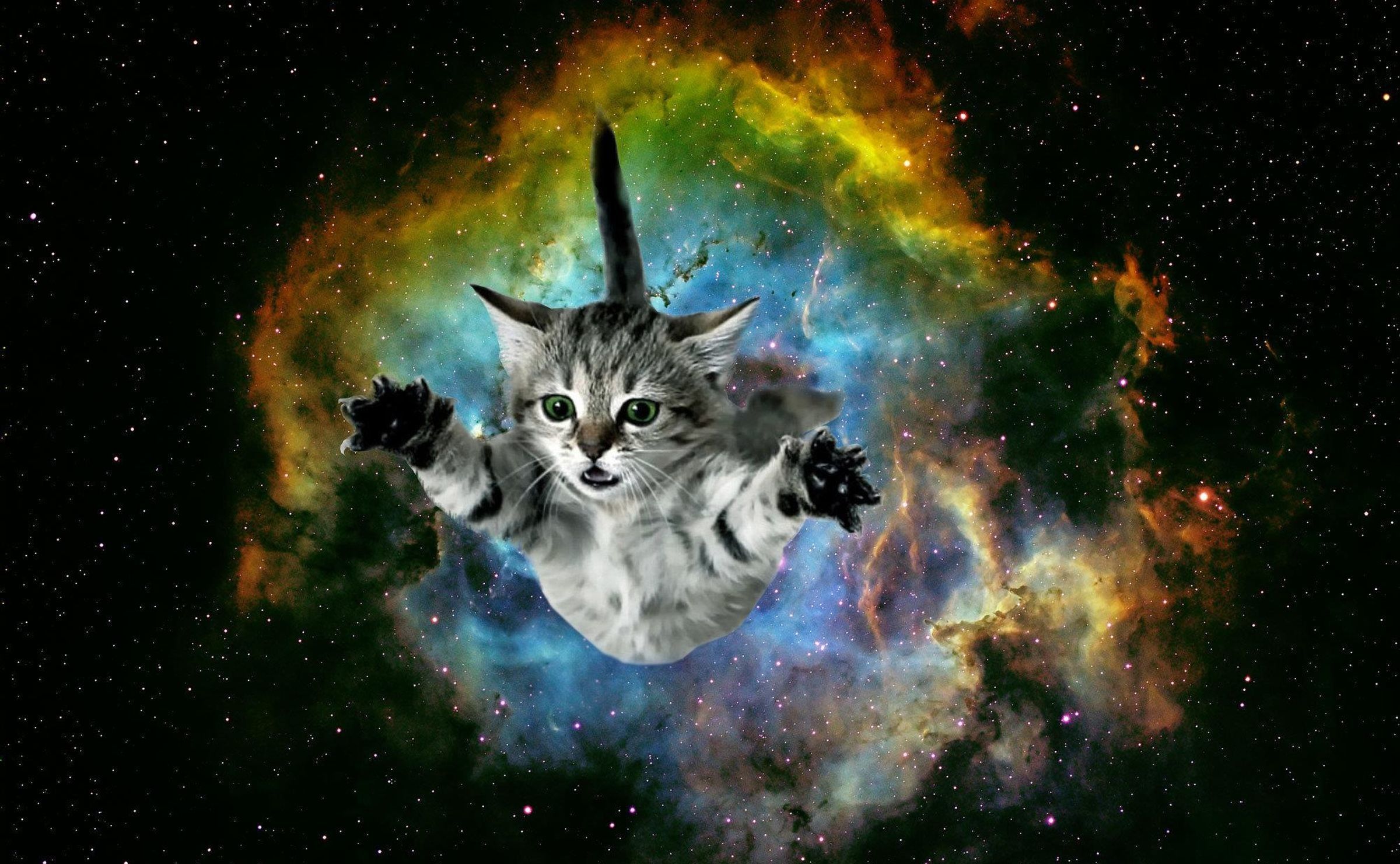 Cat Galaxy Wallpapers