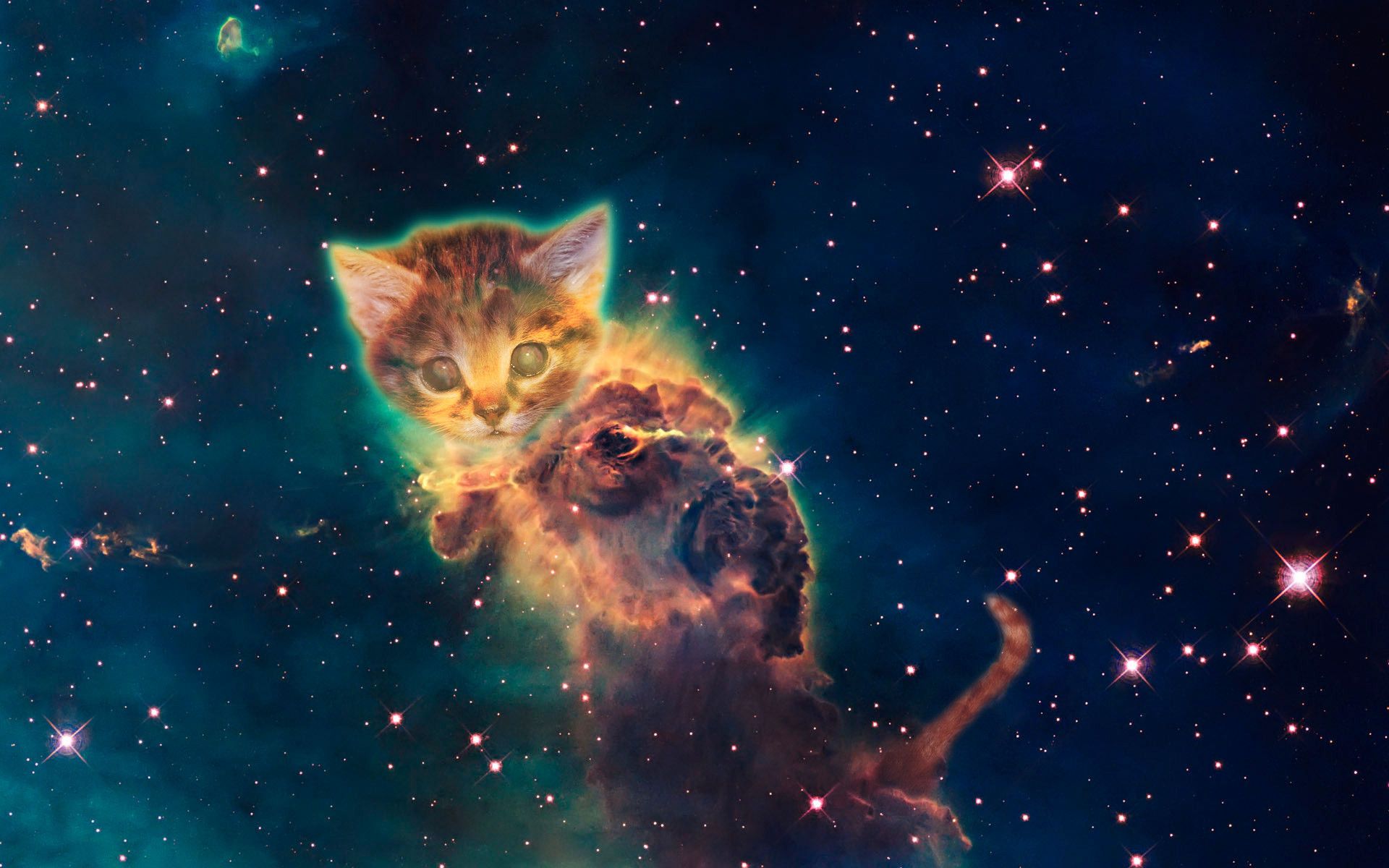 Cat Galaxy Wallpapers