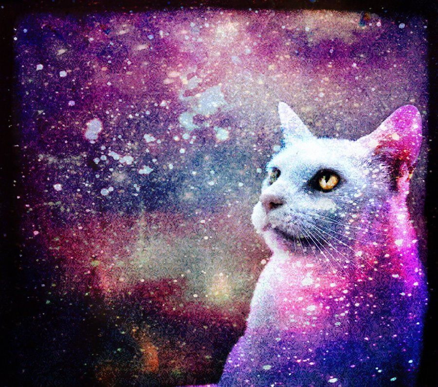 Cat Galaxy Wallpapers