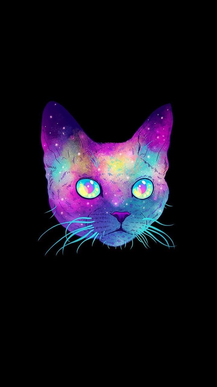 Cat Galaxy Wallpapers