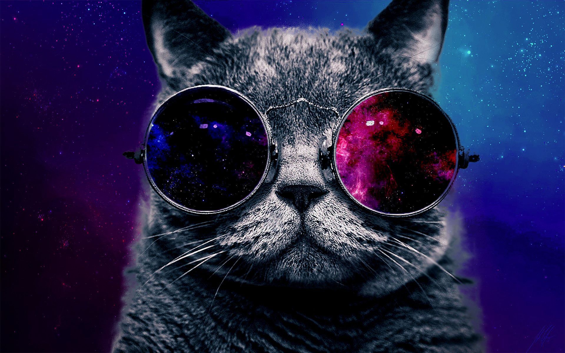 Cat Galaxy Wallpapers