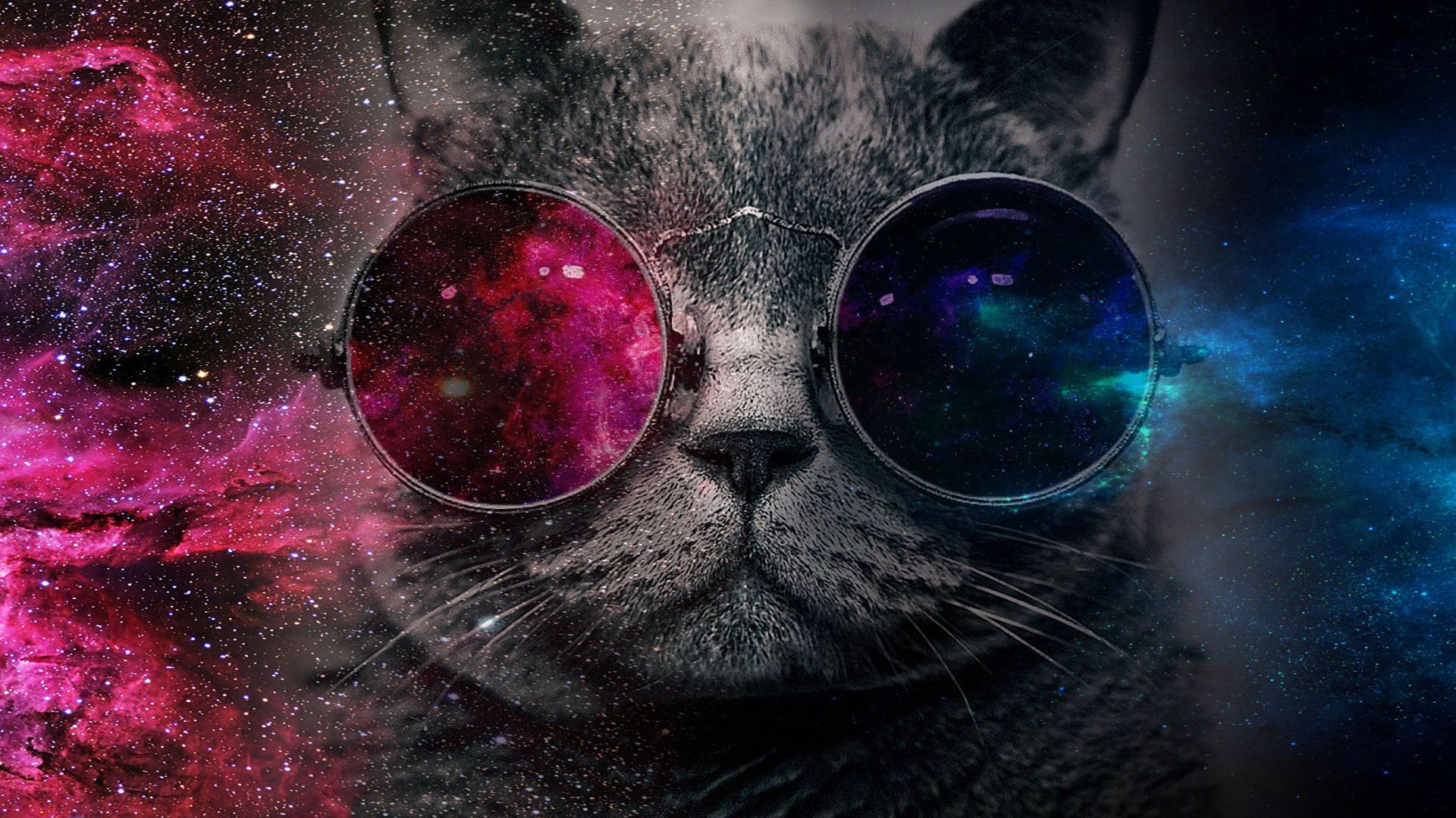 Cat Galaxy Wallpapers