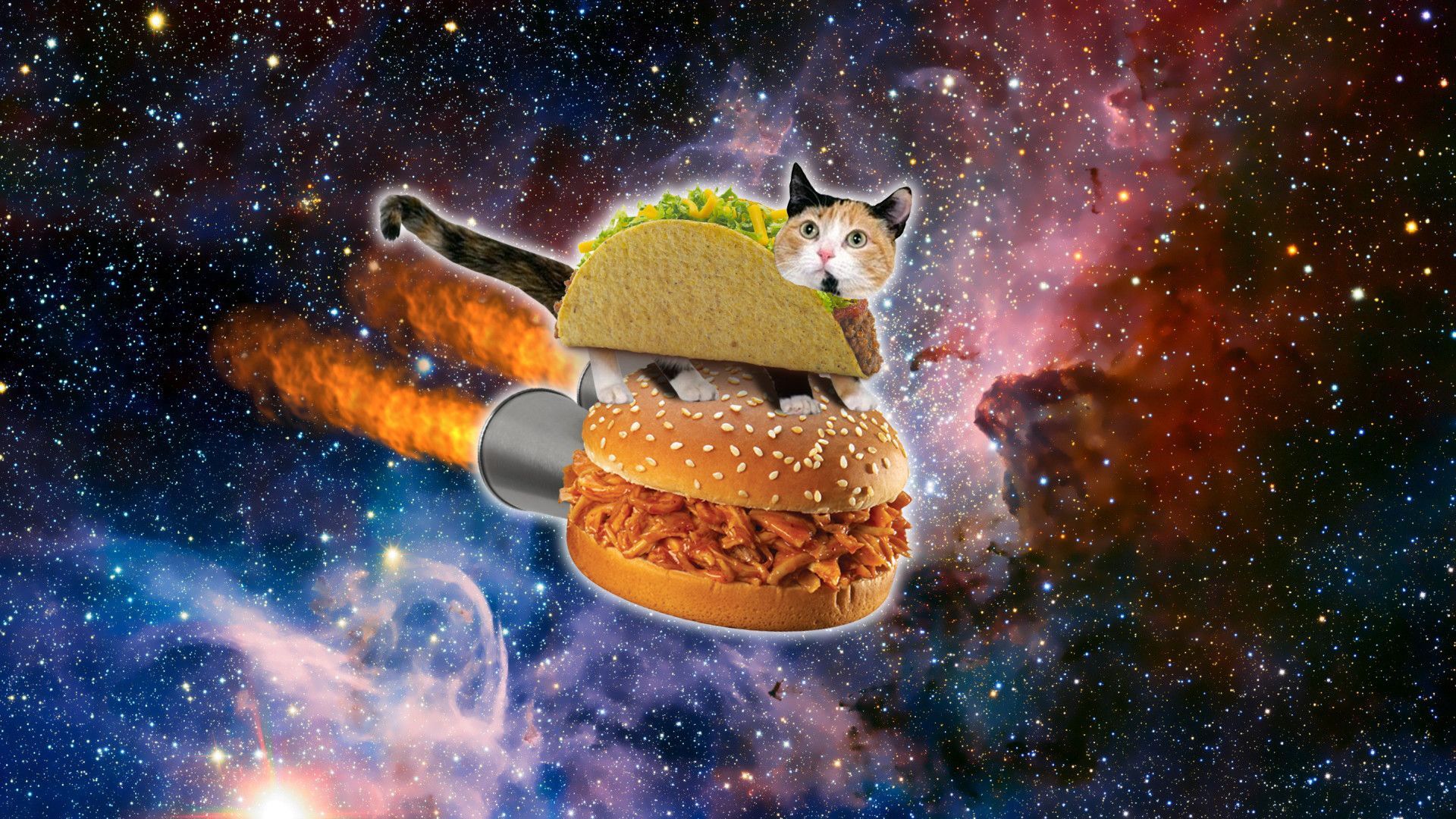 Cat Galaxy Wallpapers