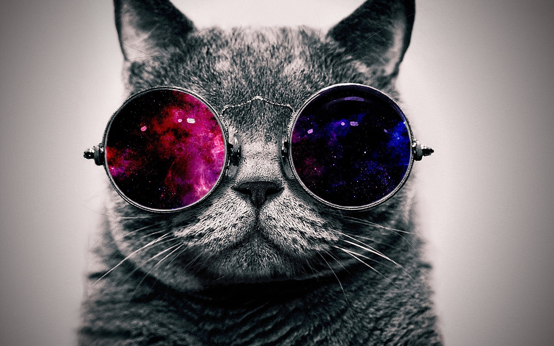 Cat Galaxy Wallpapers