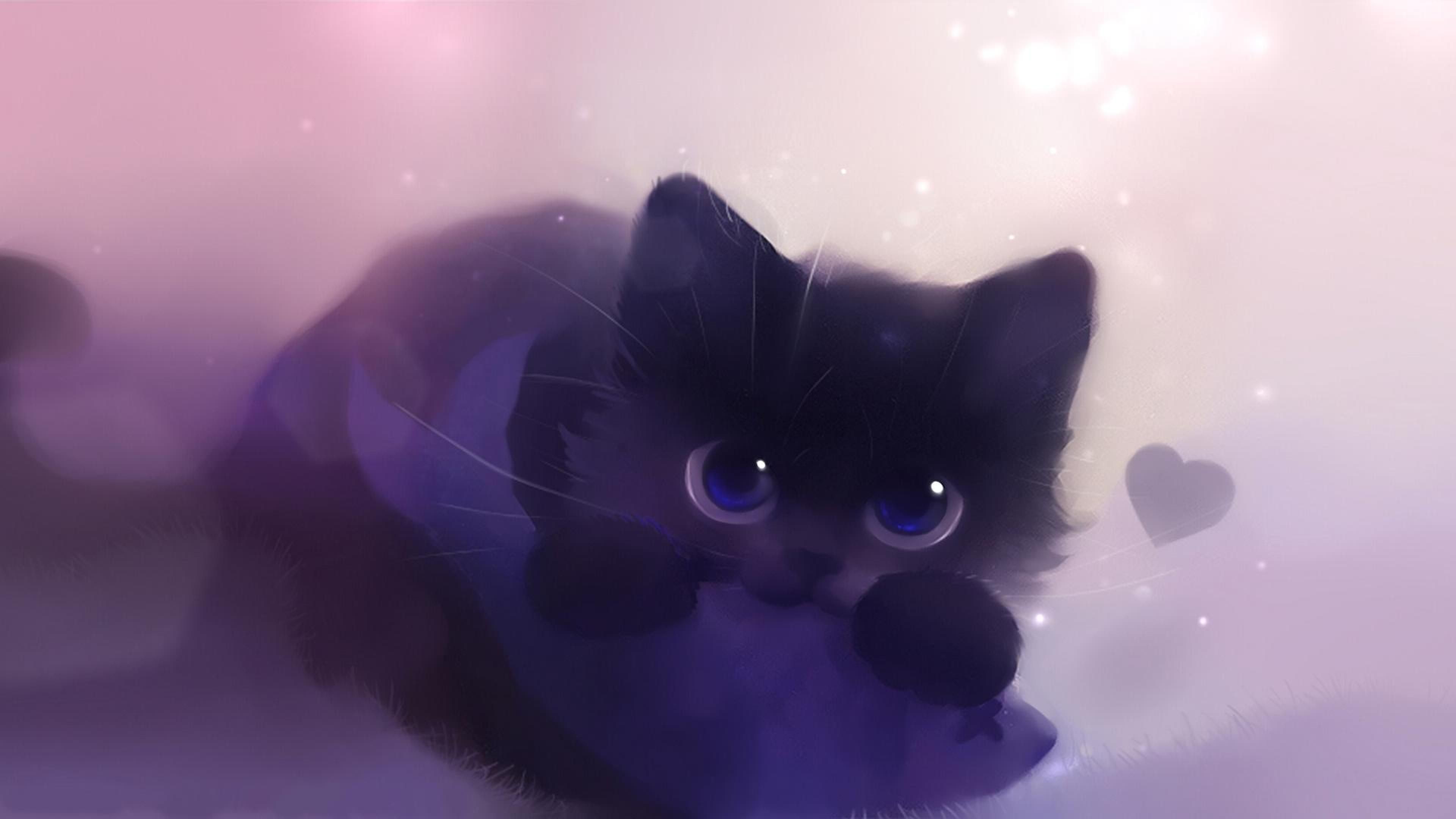 Cat Galaxy Wallpapers