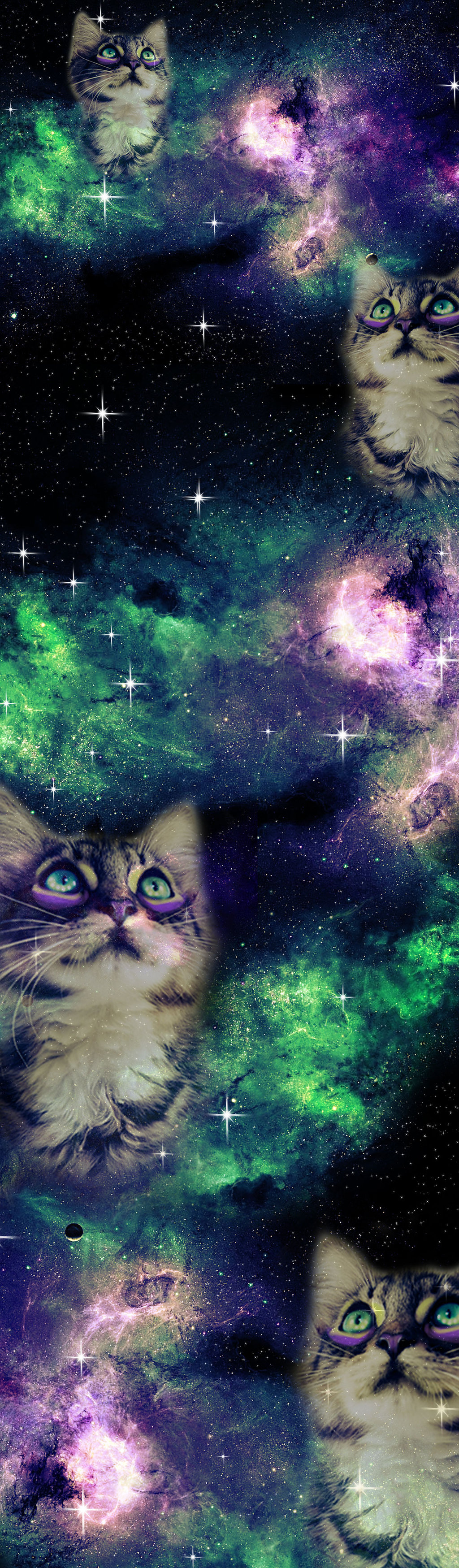 Cat Galaxy Wallpapers