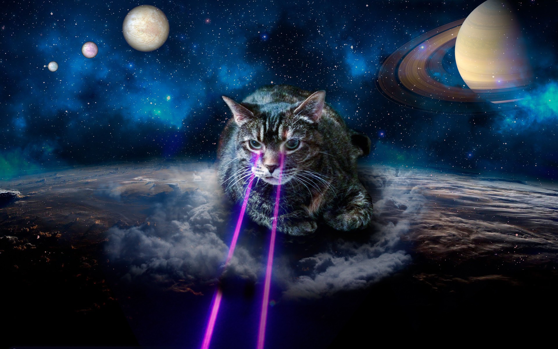 Cat Galaxy Wallpapers