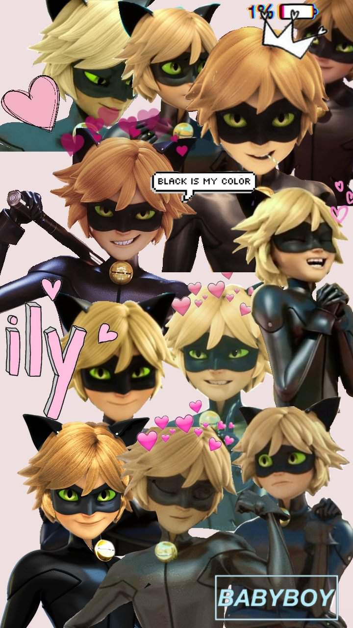 Cat Noir Wallpapers