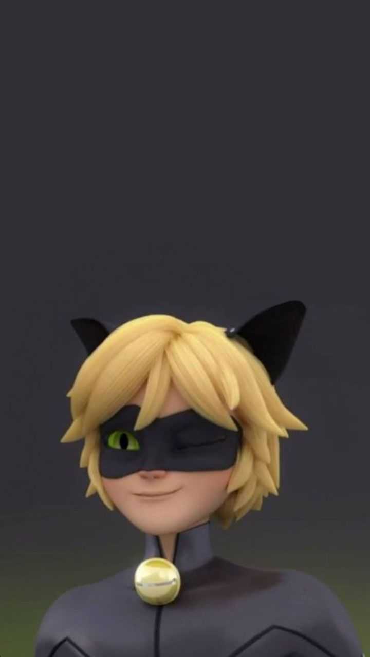 Cat Noir Aesthetic Wallpapers