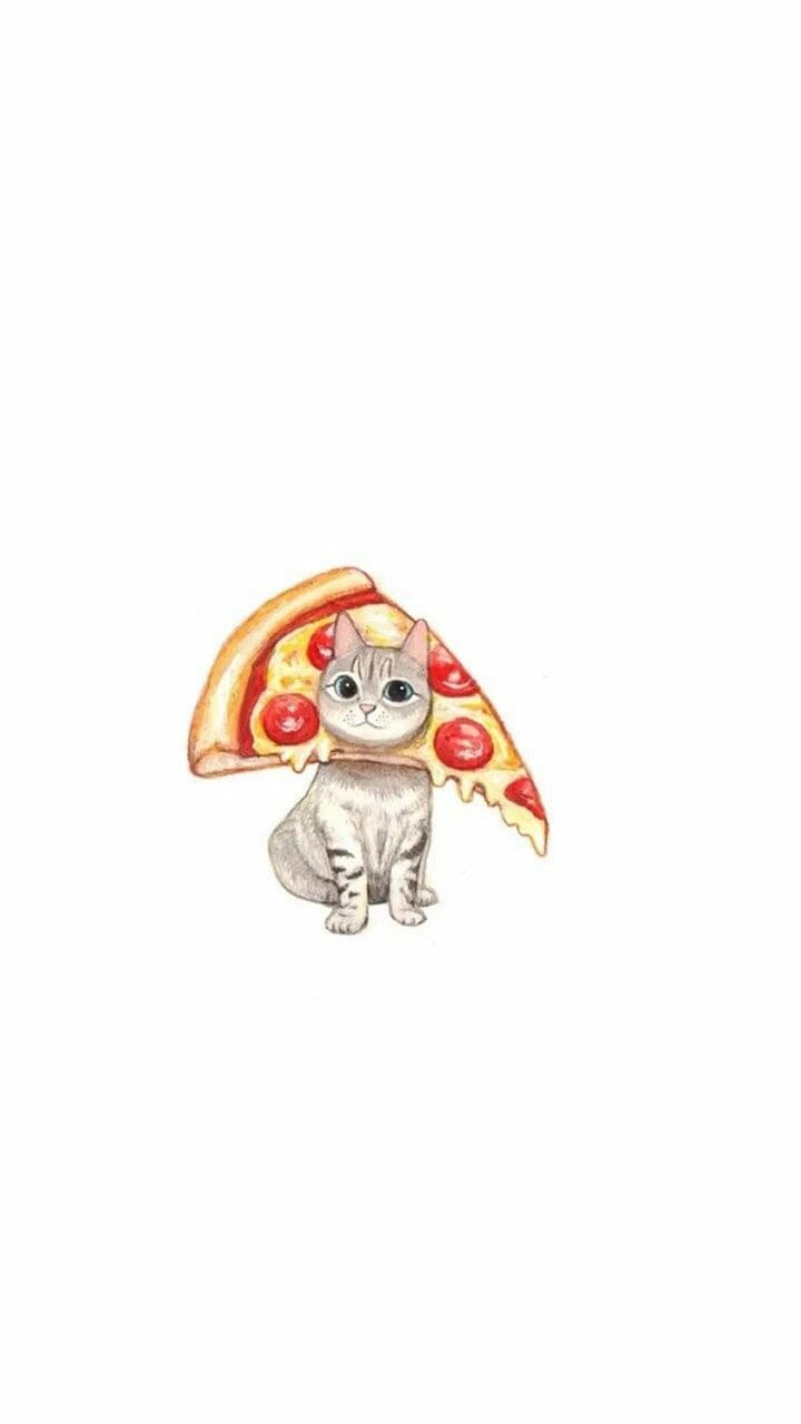 Cat Pizza Wallpapers