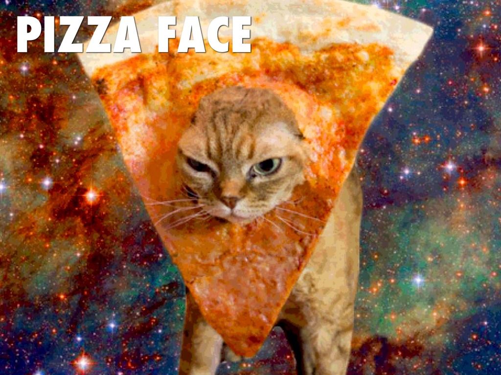 Cat Pizza Wallpapers