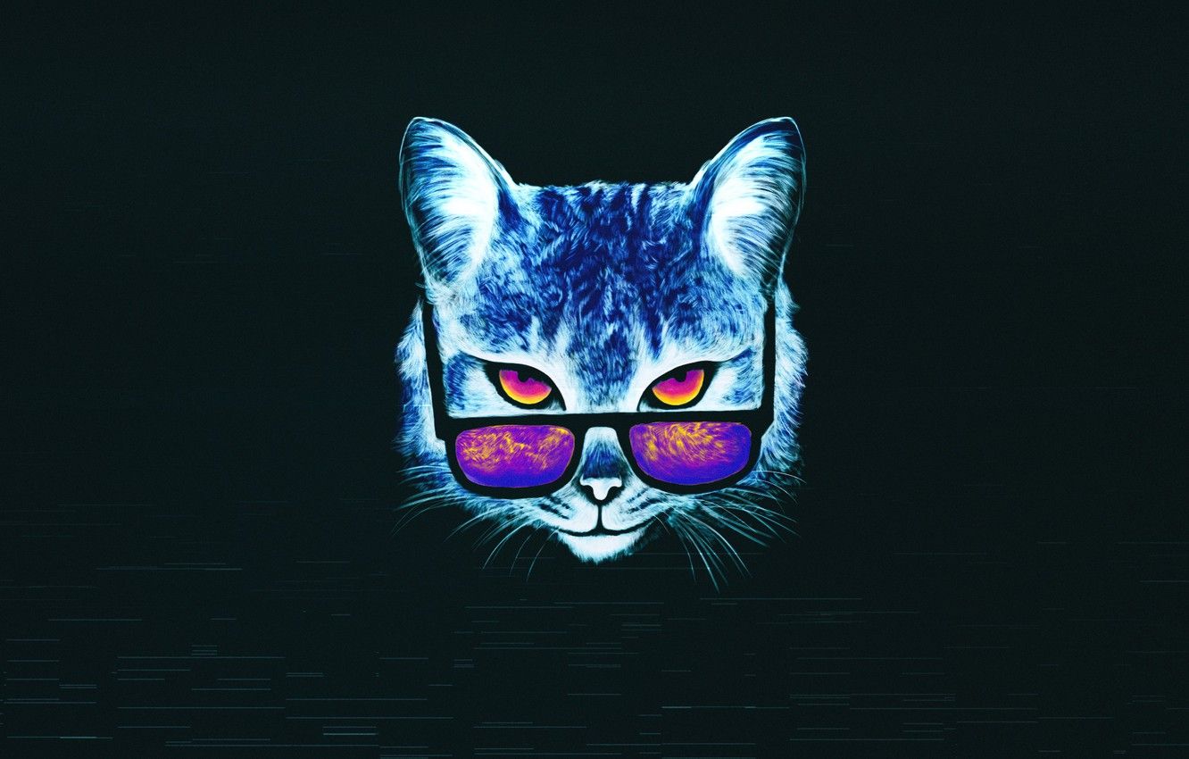 Cat With Glasses Hd Wallpapers
