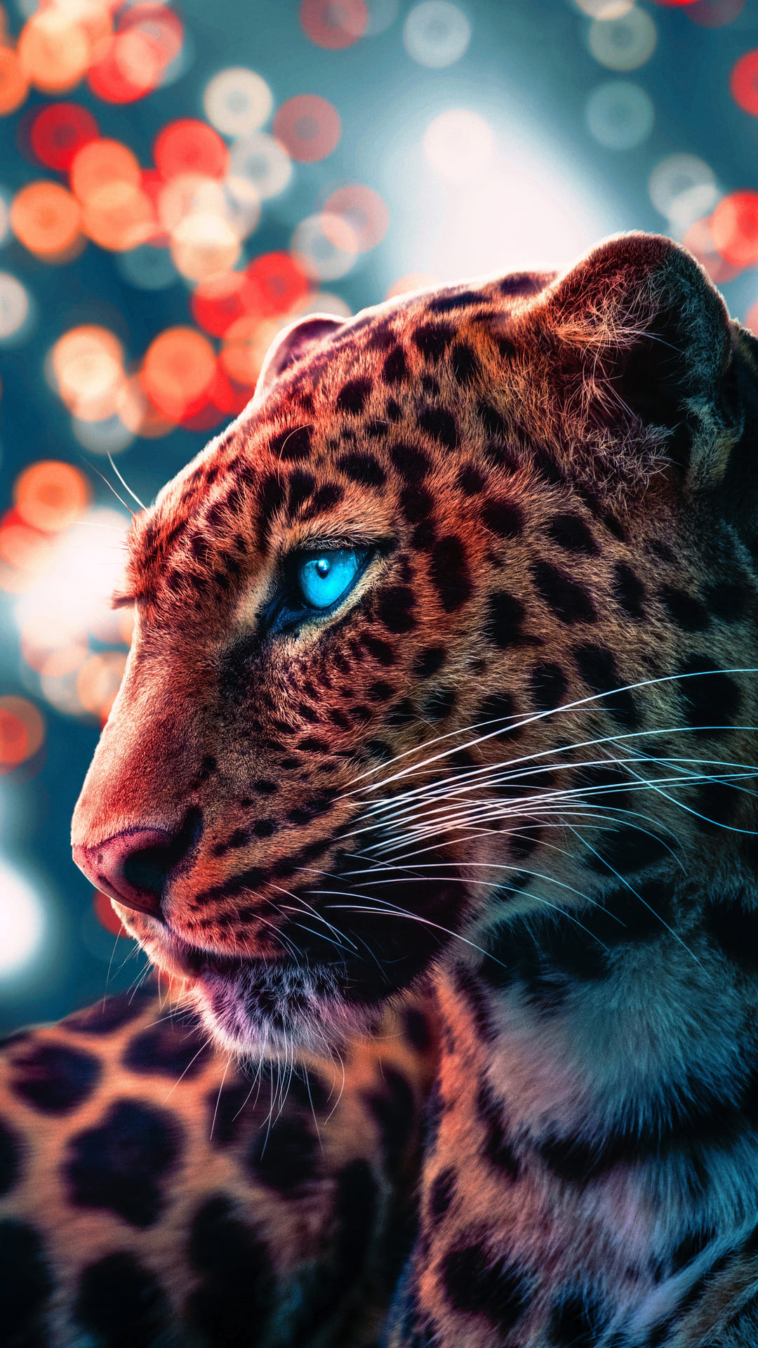 Cheetah Wallpapers